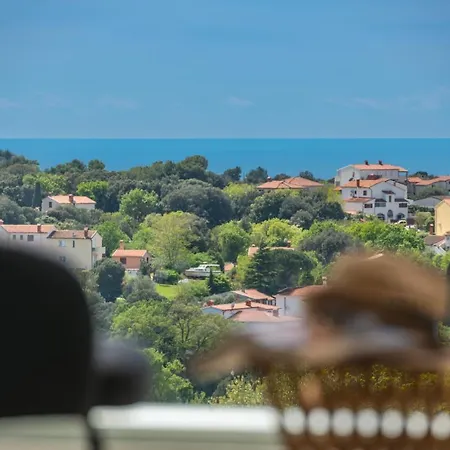 Sealine * Pola