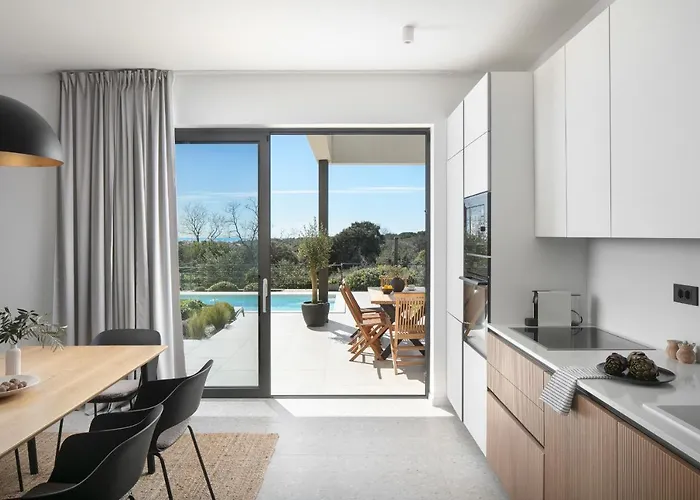 Sealine Póla